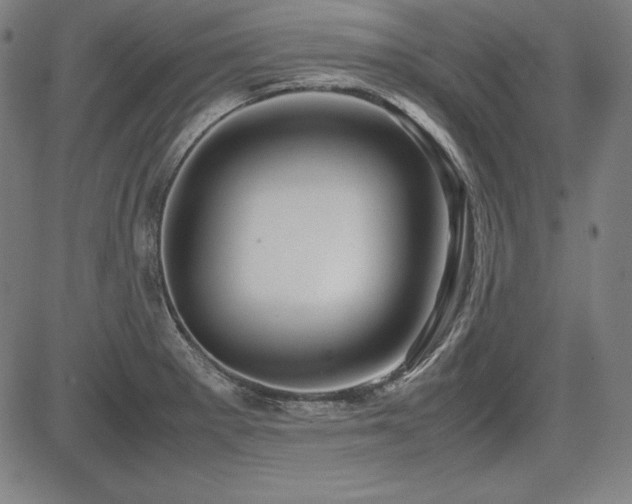 X0000083621281200702121131