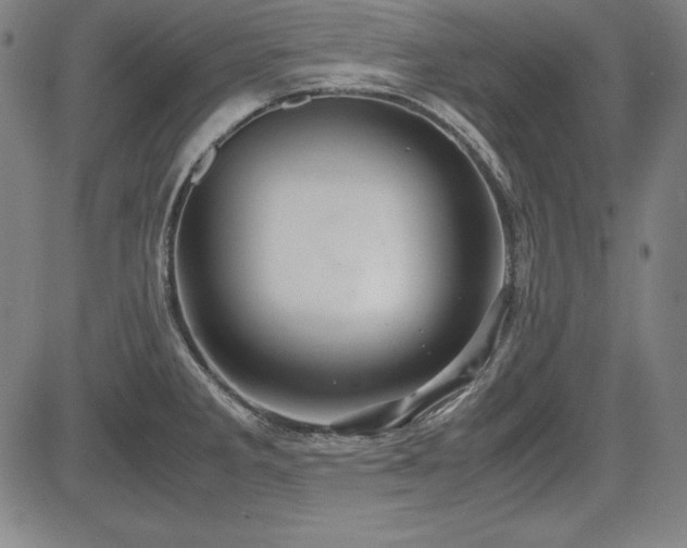X0000083621285200702121131