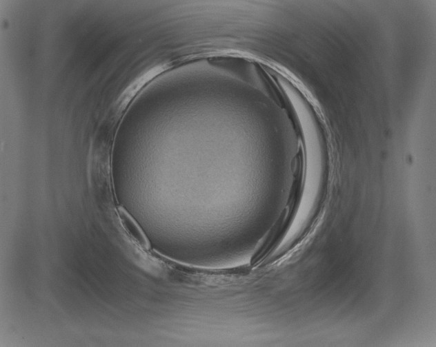 X0000083621289200702121131