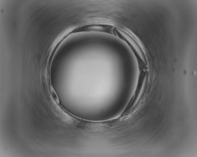 X0000083621293200702121131