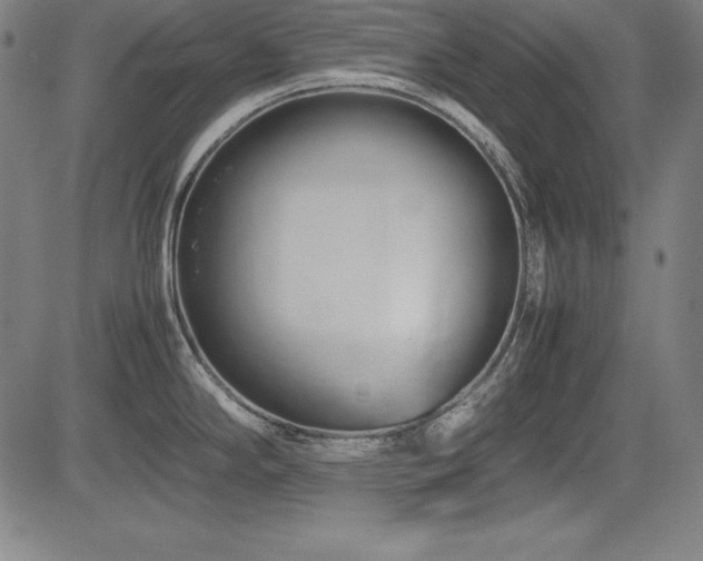 X0000083621294200702121131