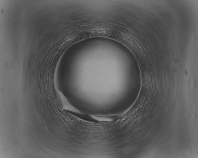 X0000083621297200702121130