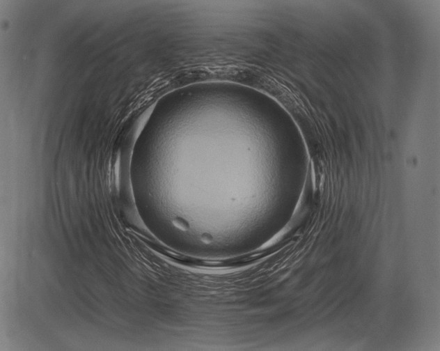 X0000083621298200702121130