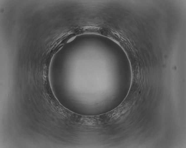 X0000083621301200702121130