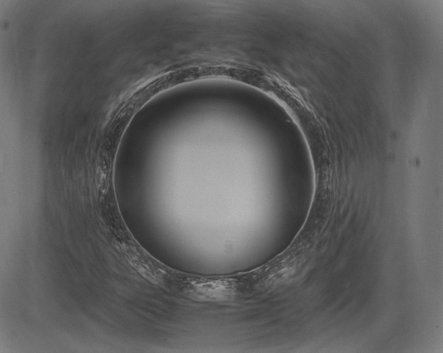 X0000083621303200702121130
