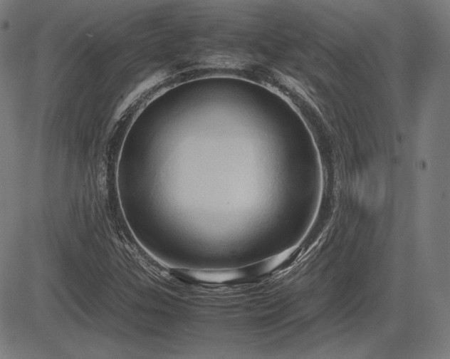 X0000083621307200702121130