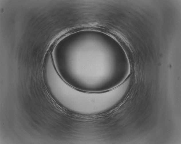 X0000083621308200702121130