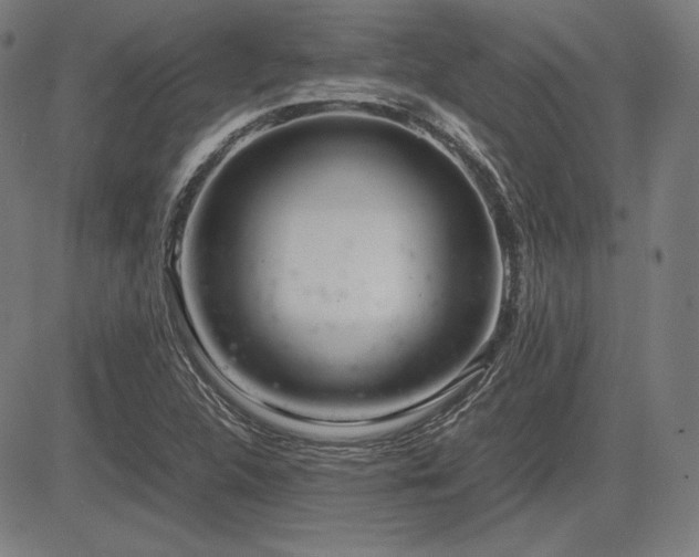 X0000083621312200702121130