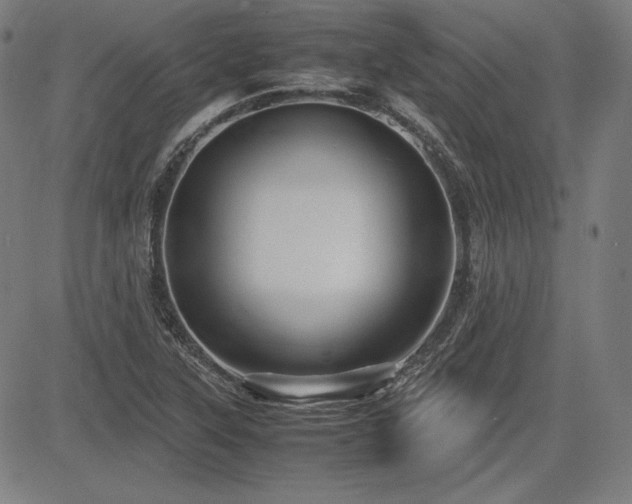 X0000083621315200702121130