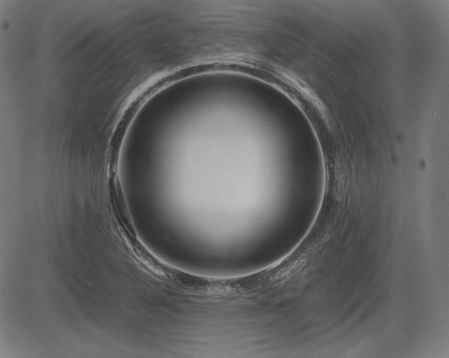 X0000083621316200702121130