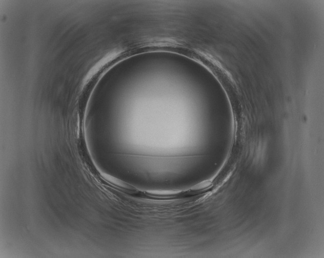 X0000083621317200702121130