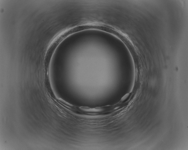 X0000083621319200702121130