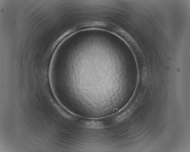 X0000083621321200702121130