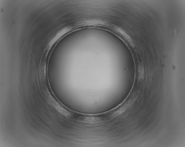 X0000083621322200702121130