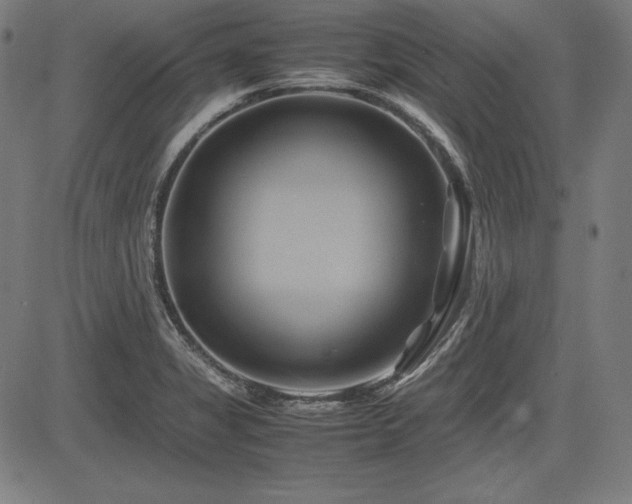 X0000083621325200702121130