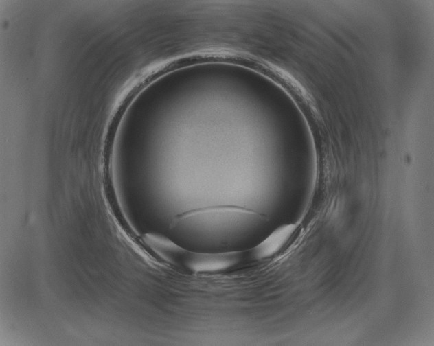 X0000083621327200702121130