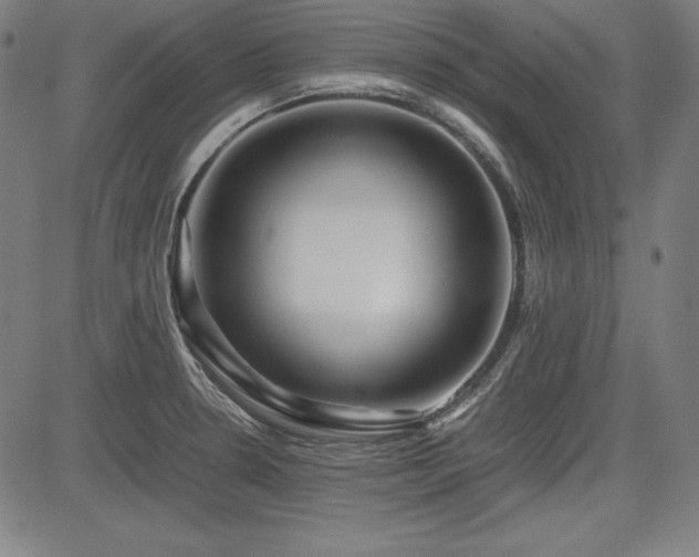 X0000083621330200702121130