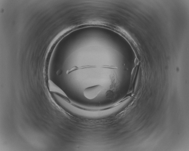 X0000083621331200702121130