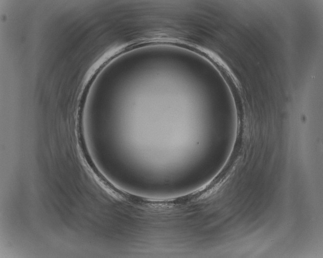 X0000083621333200702121131