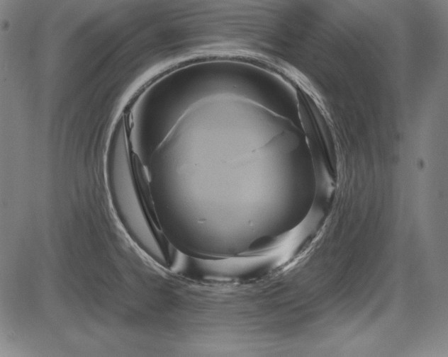 X0000083621334200702121131