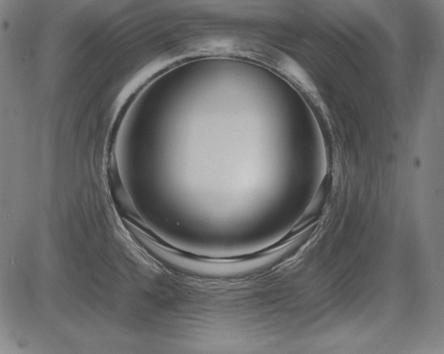 X0000083621336200702121131