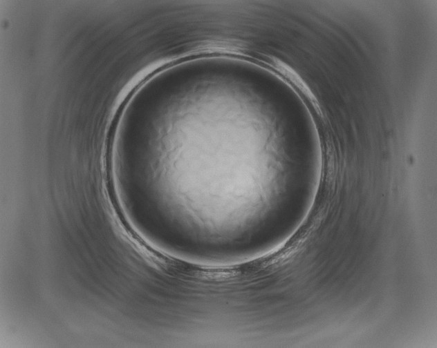 X0000083621339200702121131