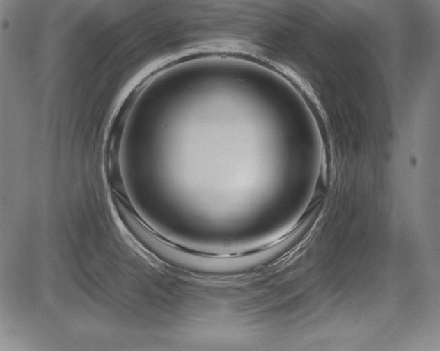 X0000083621342200702121131