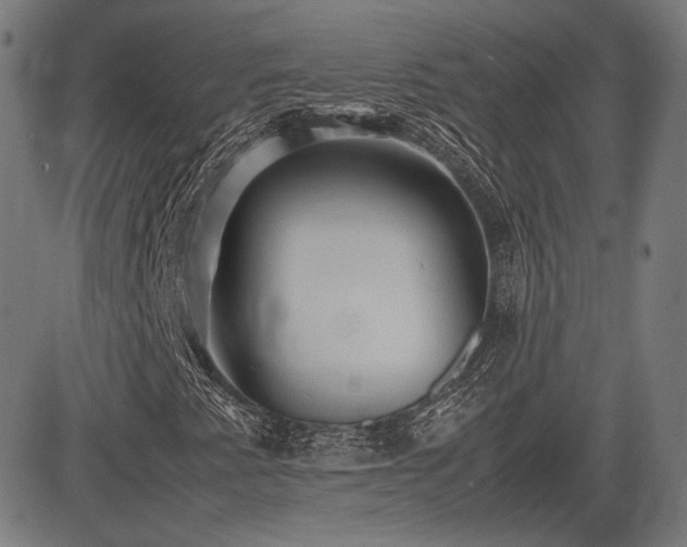 X0000083621345200702121130