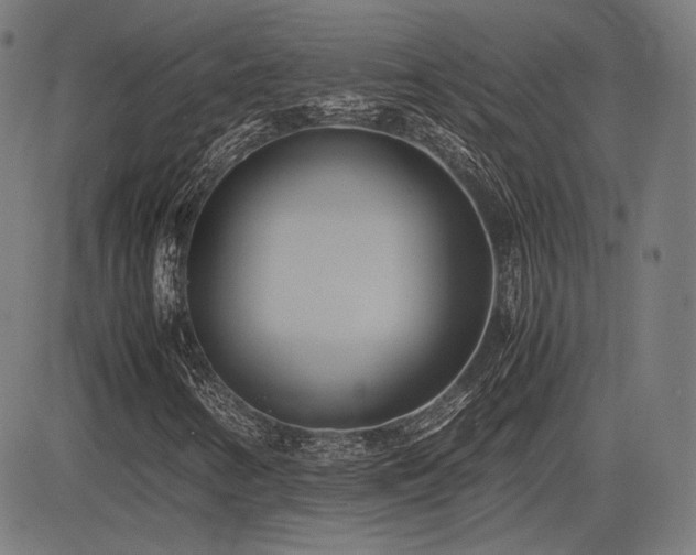 X0000083621346200702121130