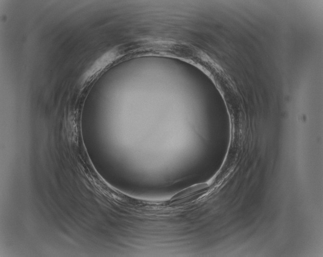 X0000083621354200702121130