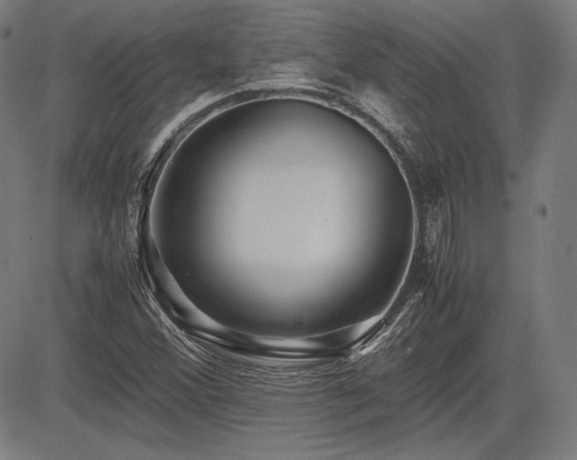 X0000083621356200702121130