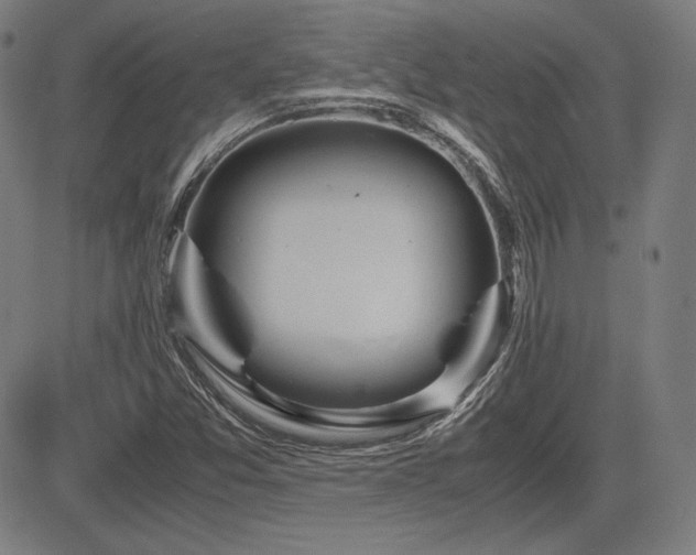 X0000083621357200702121130