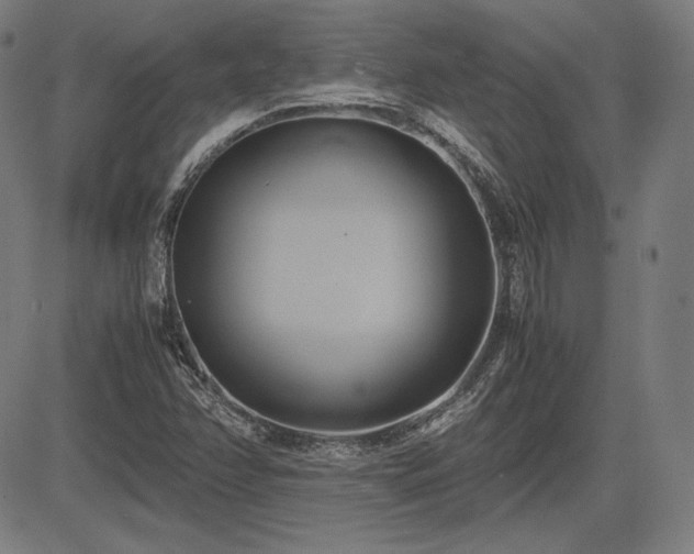 X0000083621358200702121130