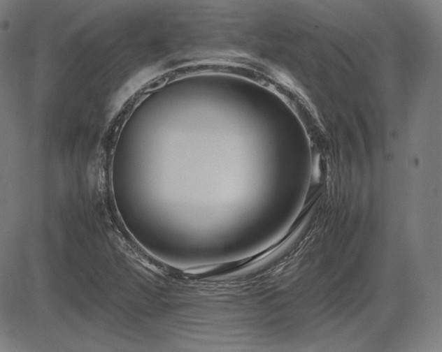 X0000083621360200702121130