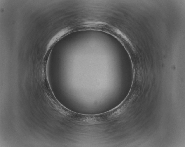 X0000083621362200702121130