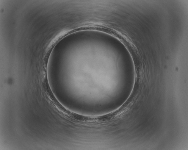 X0000083621363200702121130