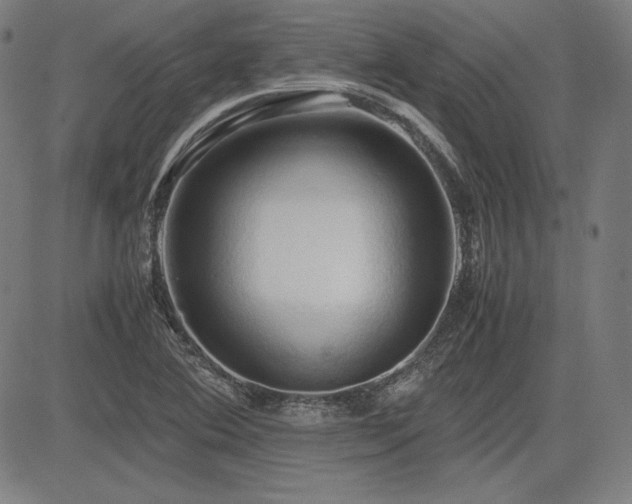 X0000083621364200702121130