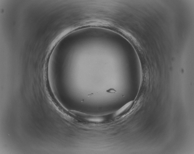 X0000083621375200702121129