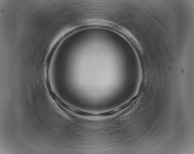 X0000083621376200702121129