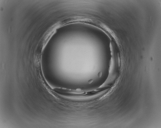 X0000083621377200702121129