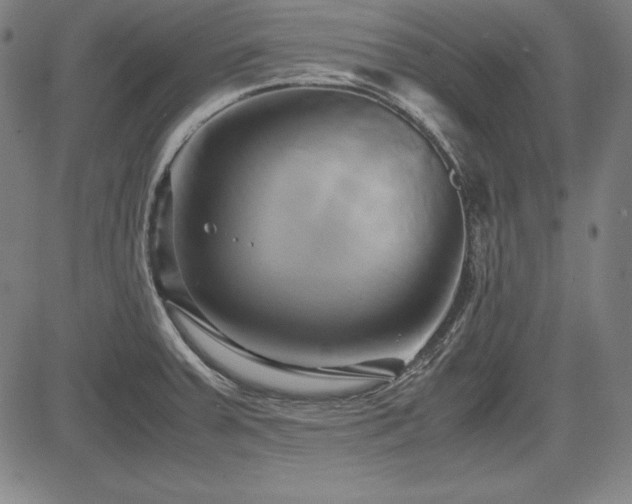 X0000083621379200702121129