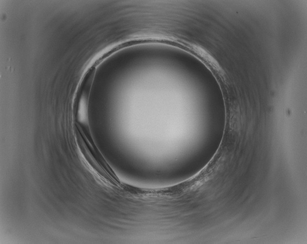 X0000083621380200702121129