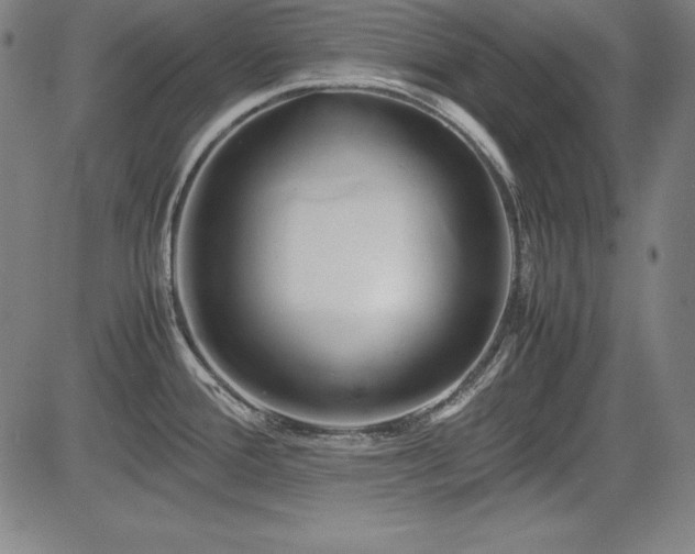 X0000083621388200702121129