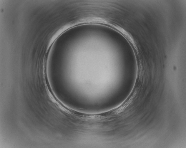 X0000083621390200702121129