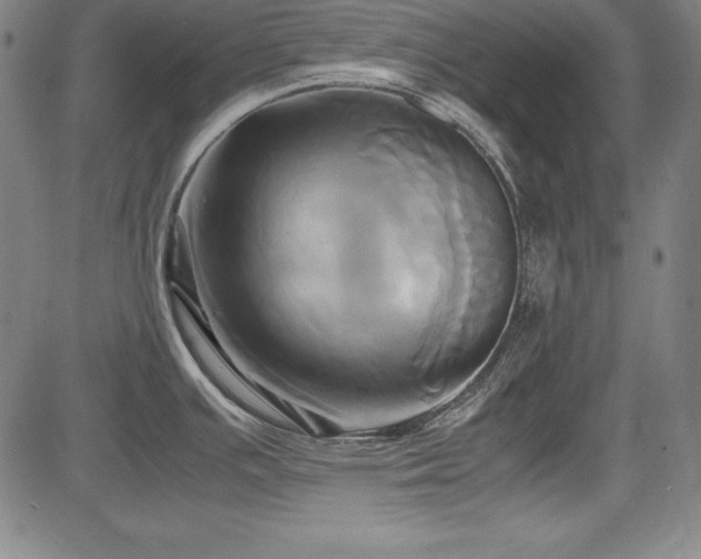 X0000083621391200702121129