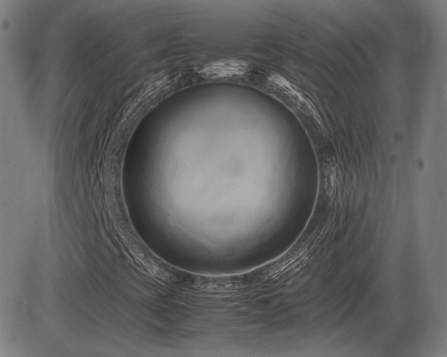 X0000083621393200702121128