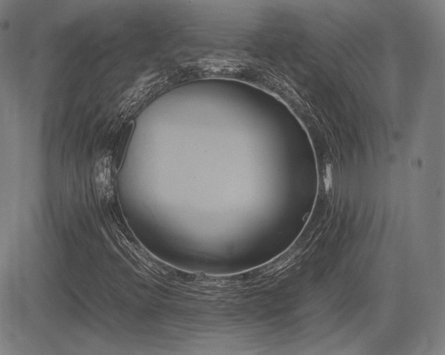 X0000083621396200702121128