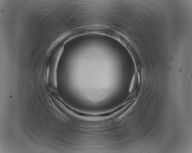 X0000083621402200702121129
