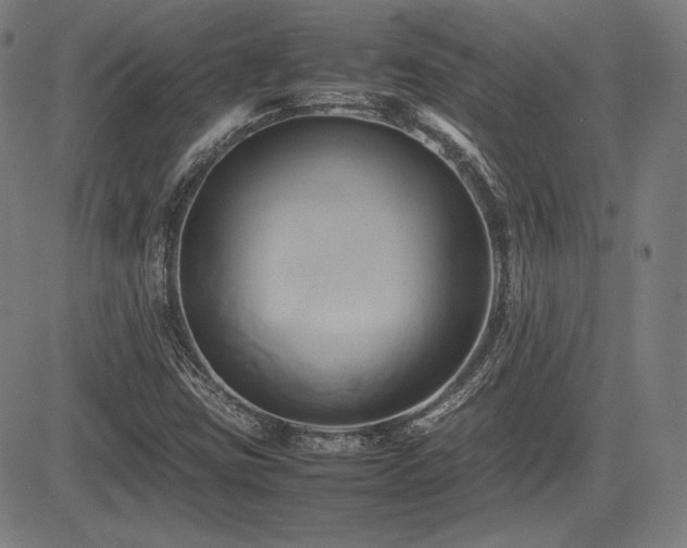 X0000083621403200702121129