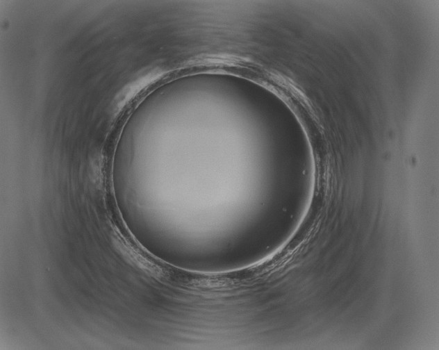 X0000083621404200702121129